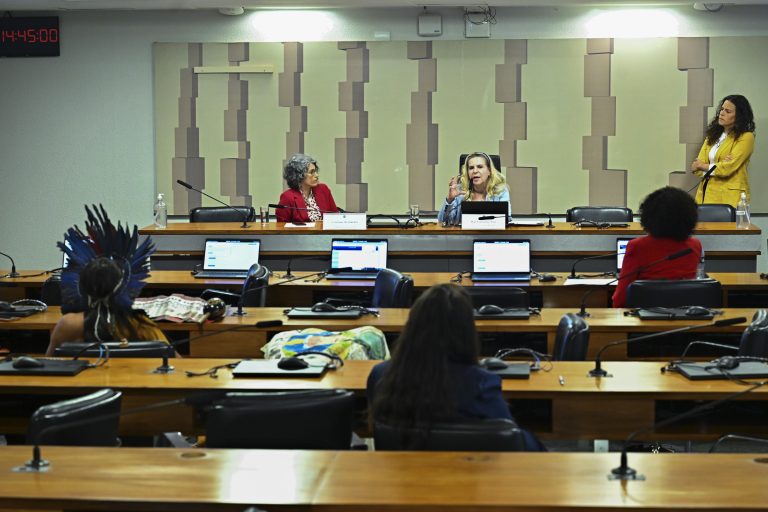Congresso debate campanha nacional contra violência a mulheres negras e indígenas