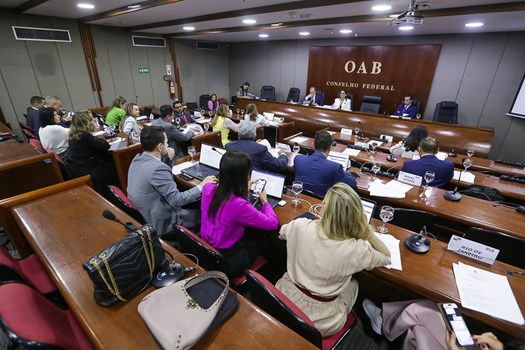 Conselho Federal da OAB julga 114 processos em sessões presenciais das Câmaras
