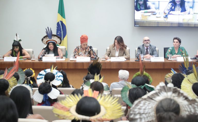 COP 30: Ministras e deputadas articulam protagonismo feminino e de povos tradicionais na conferência climática de Belém