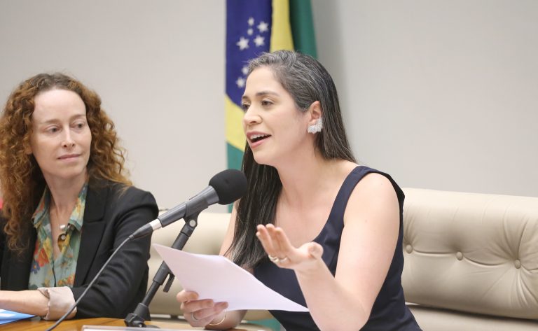 Deputadas defendem reserva de cadeiras para consolidar presença feminina
