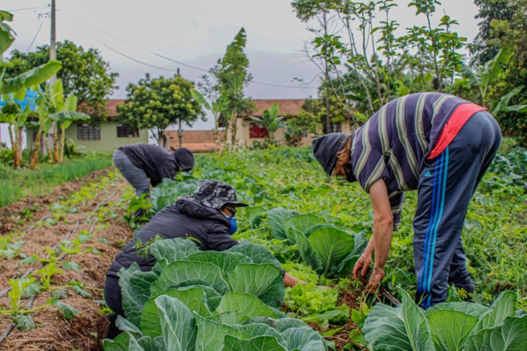 Lei amplia acesso ao Garantia-Safra para agricultores familiares