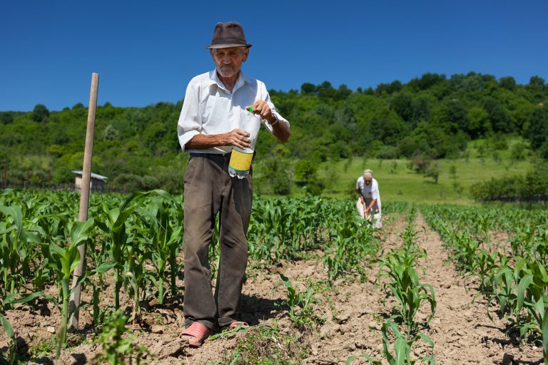 Lei isenta trabalhador rural de multa para contar tempo anterior a 1991 no INSS