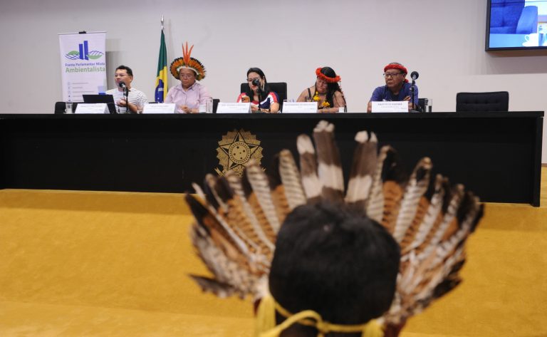 Lideranças indígenas defendem ampliação da representatividade política na Câmara