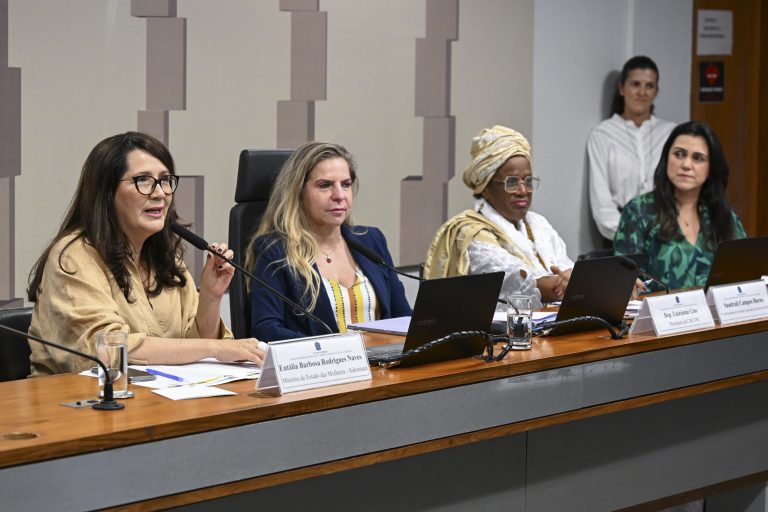 Ministério das Mulheres quer Lei Maria da Penha no currículo escolar permanente