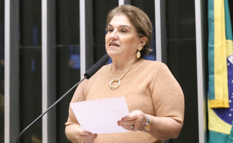 Ministra das Mulheres apresenta planos contra feminicídio na Câmara