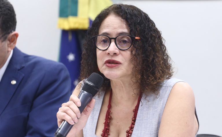 Ministra Luciana Santos apresenta planejamento de CT&I para 2026 na Câmara