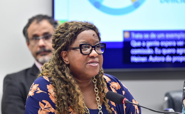 Ministra Macaé Evaristo Apresentará Planos do Ministério dos Direitos Humanos em Audiência na Câmara