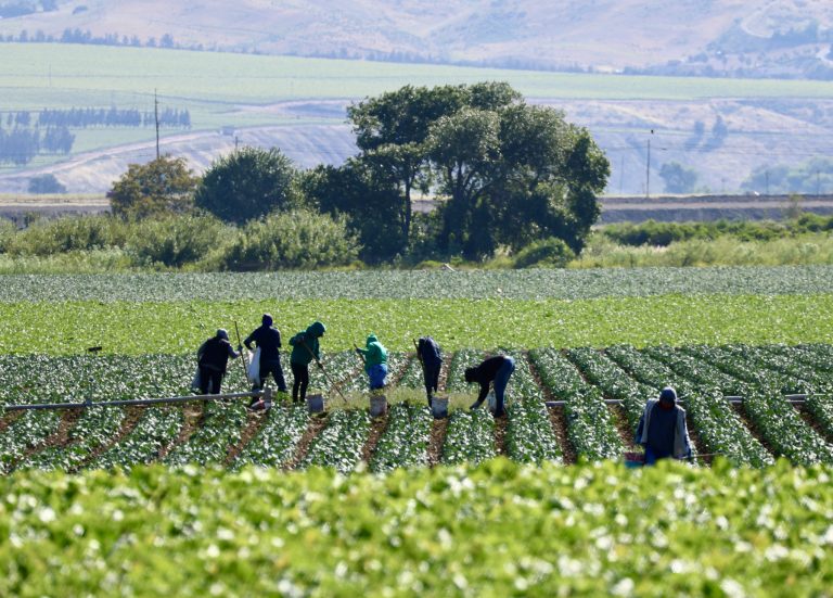 Modernização das regras para contratação temporária rural será debatida na Câmara