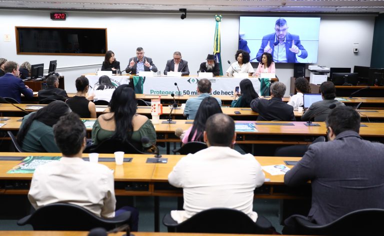 Movimento Amazônia de Pé intensifica coleta de assinaturas para proteger 50 milhões de hectares antes da COP 30
