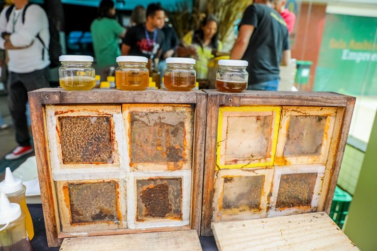 MP abre R$ 190 milhões para agricultura familiar afetada por tarifas dos EUA