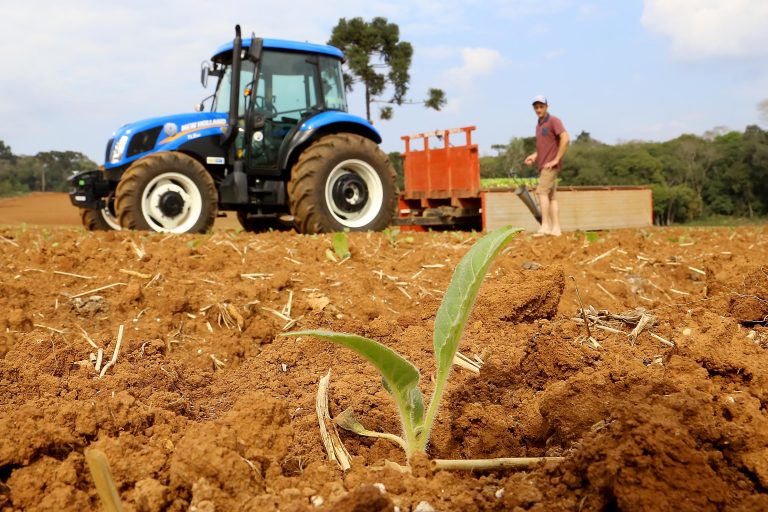 MP cria crédito rural para produtores afetados pelo clima e queda de preços