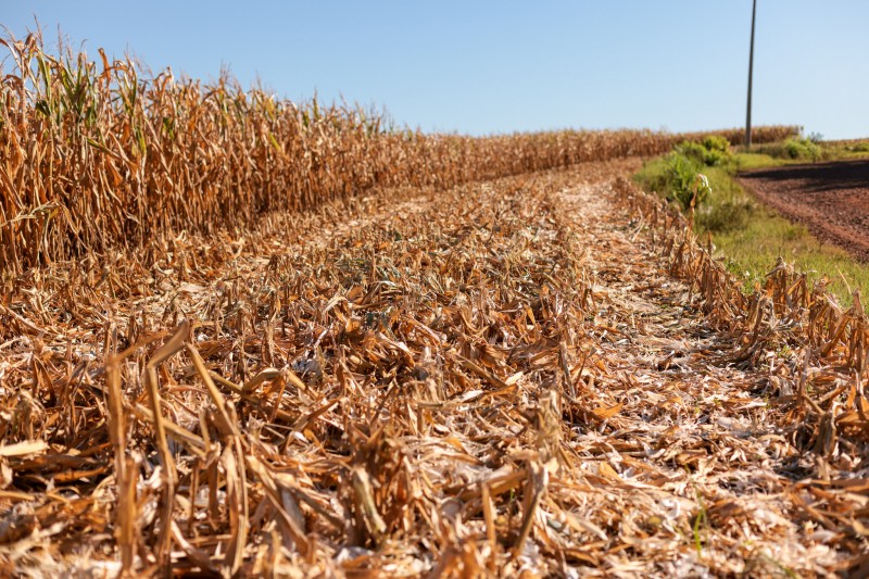 MP destina R$ 360 milhões para combate a desastres climáticos no Brasil