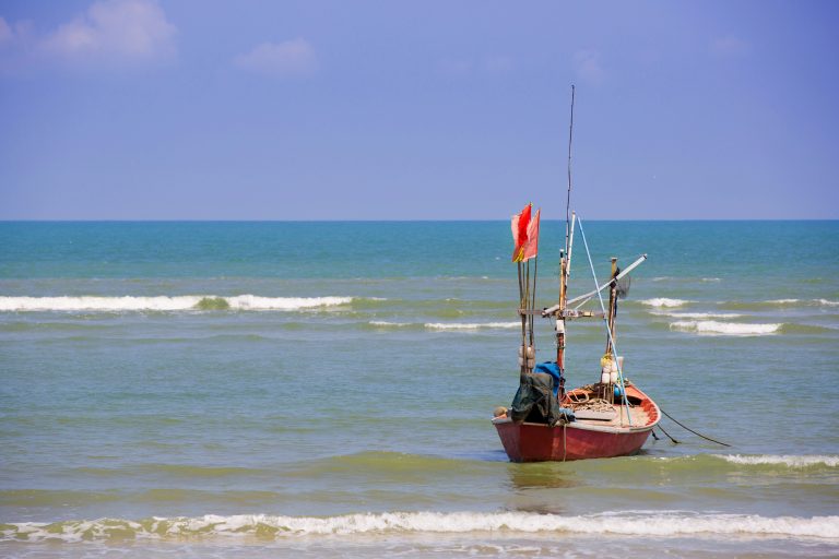 MP vincula seguro-defeso a dados biométricos de pescadores artesanais
