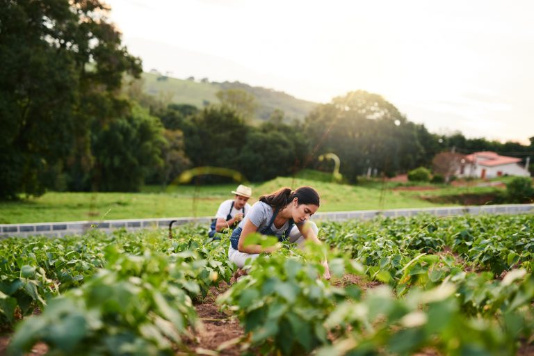 Nova lei cria Política Nacional de Juventude e Sucessão Rural para fixar jovens no campo