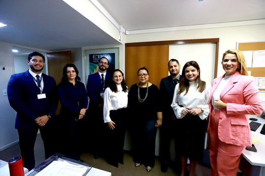 OAB alinha diretrizes para fortalecer fiscalização e processos disciplinares