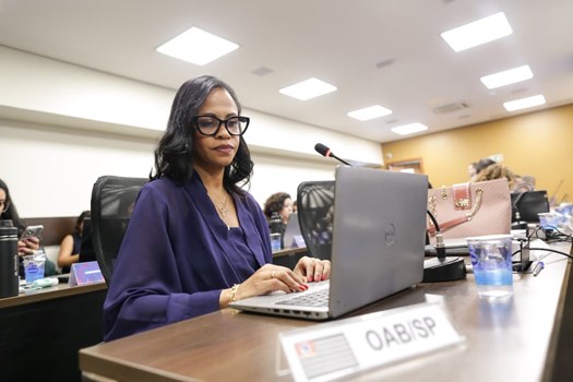 OAB aprova ADI contra lei de Goiás que dispensa advogado em PADs