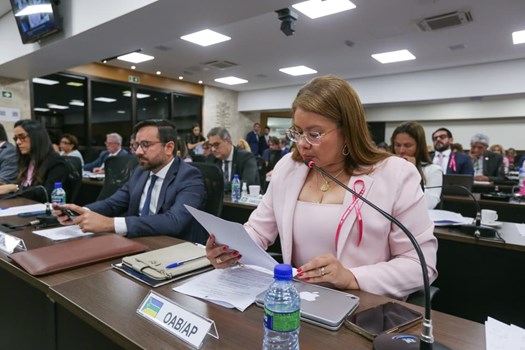 OAB aprova ingresso como amicus curiae na ADI que contesta citação eletrônica