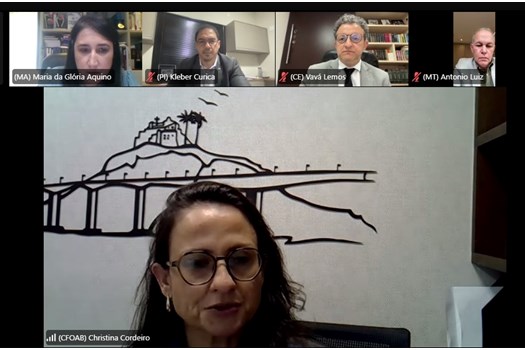 OAB conclui debate sobre atualização das regras de marketing jurídico