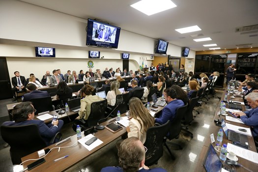 OAB e CNJ firmam parceria para combater litigância abusiva sem prejudicar advocacia