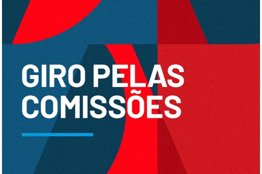 OAB Nacional: Comissões avançam em projetos estratégicos para advocacia brasileira