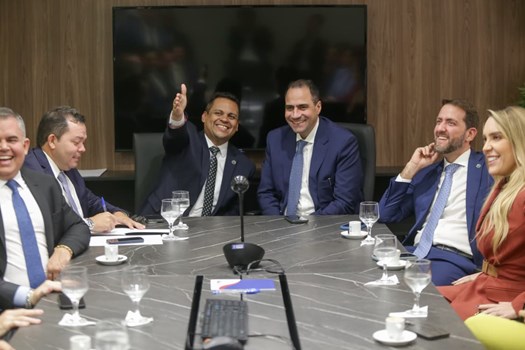 OAB Nacional e OAB-PI fortalecem parceria em reunião institucional com foco na advocacia estadual