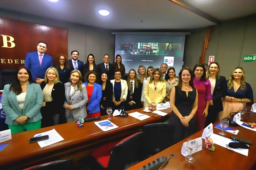 OAB Nacional realiza 1º encontro de vice-presidentes para alinhar demandas