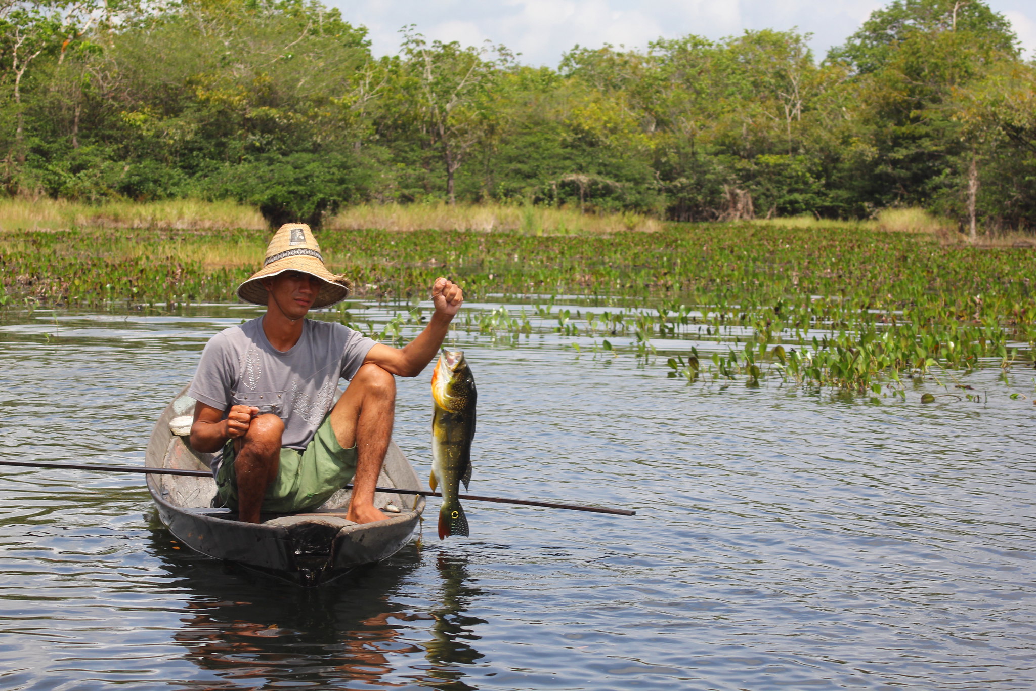 PL vincula seguro-defeso ao período real de proibição da pesca artesanal