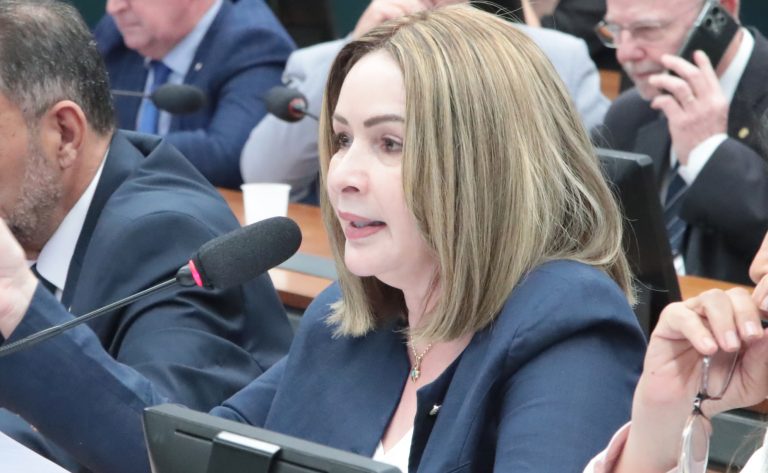 Projeto que garante piso salarial para professores temporários avança na Câmara