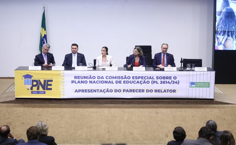 Relator prevê R$ 280 bi para novo Plano Nacional de Educação até 2035