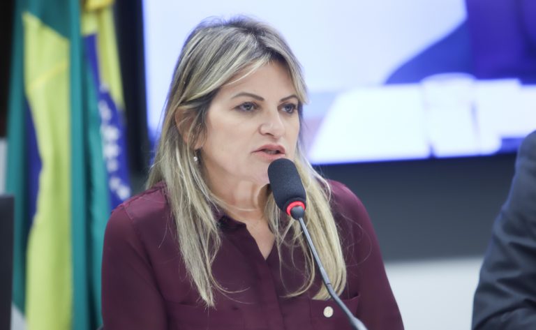 Relatora pede recomposição de recursos para Poderes de Estado no Orçamento 2026