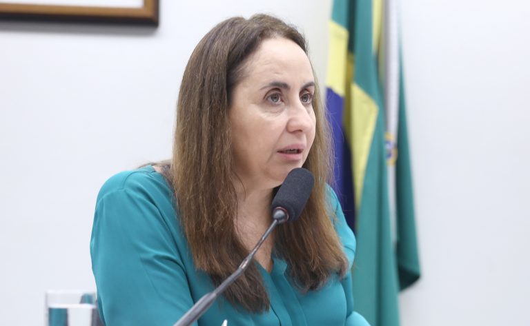 Sistema Nacional de Educação gera controvérsias em audiência na Câmara dos Deputados