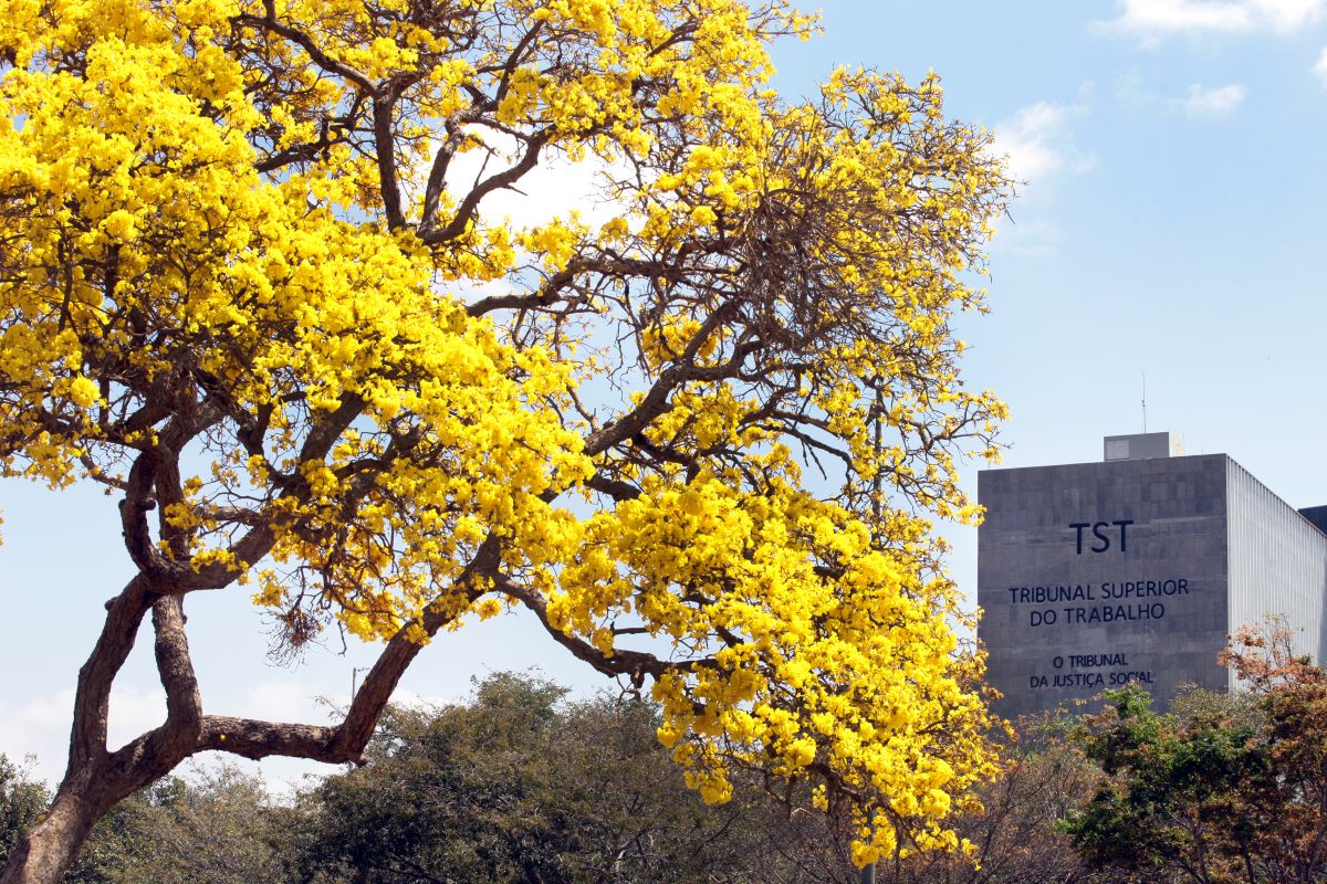 TST forma lista tríplice só com mulheres para vaga de ministra
